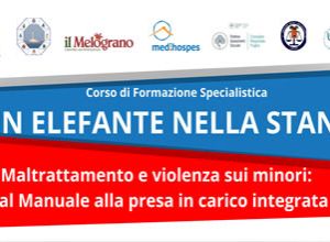 UN ELEFANTE NELLA STANZA