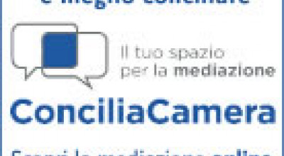 Vademecum sulla mediaconciliazione