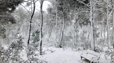 RICOGNIZIONE DEI DANNI PROVOCATI DALLA NEVICATA