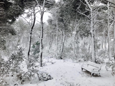 RICOGNIZIONE DEI DANNI PROVOCATI DALLA NEVICATA